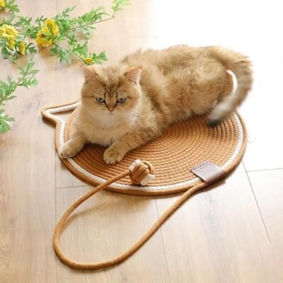 Cotton Thread Cat Mat